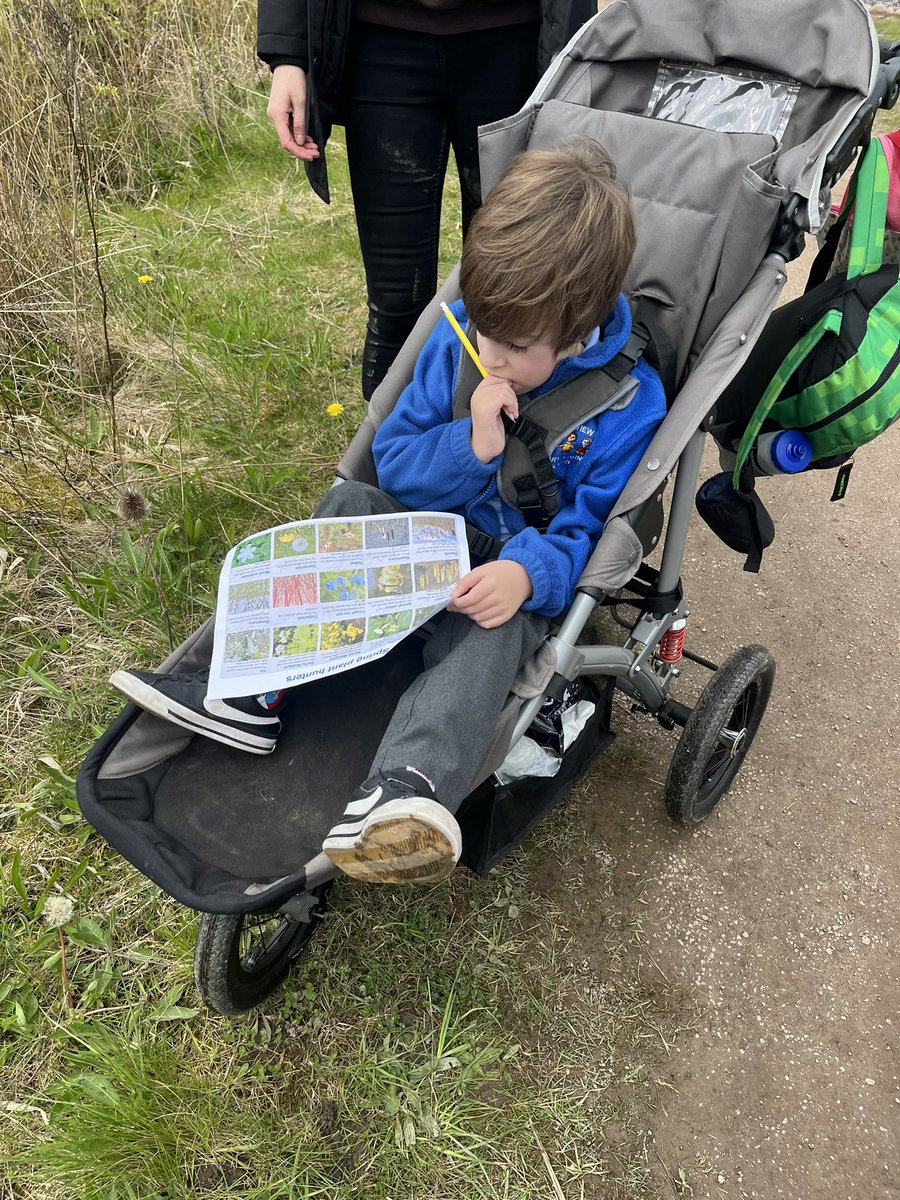 HighViewY1's tweet image. We identified many different types of flowers and leaves from trees.