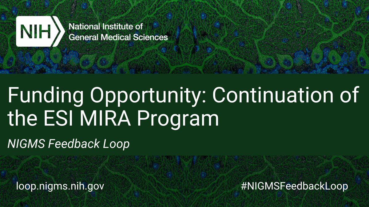 We’re pleased to share the NOFO to provide sustained support for biomedical research through our MIRA (R35) program for ESIs. The first application due date is in October 2023. Check out the latest #NIGMSFeedbackLoop post for more details. bit.ly/3HceZlM