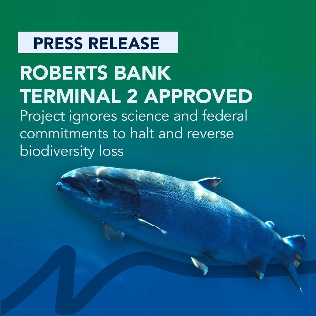 #ICYMI The Federal Cabinet's decision on April 20 to approve the Roberts Bank Terminal 2 (RBT2) project ignores science and federal commitments to halt and reverse biodiversity loss.

Read the full press release bit.ly/440kCNN