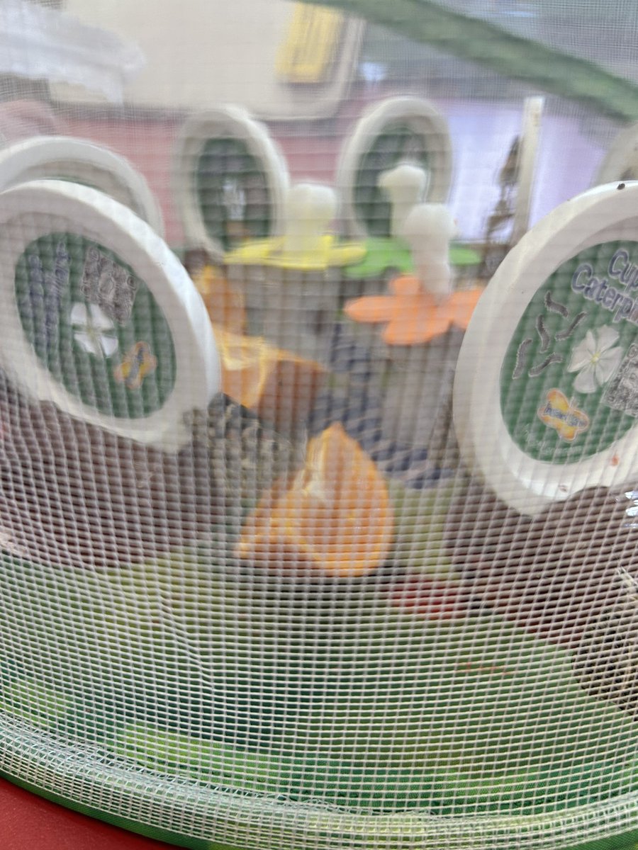 🦋🦋We have butterflies🦋🦋 <a href="/Millerprin/">Kimberley Giles</a> <a href="/millerptaob/">millerptaob</a>