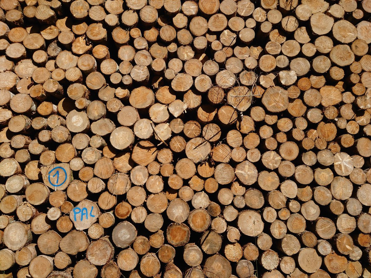 Bastien Castagneyrol (@bcastagneyrol) on Twitter photo 🧑🎓💻🌳🌲☔*
* Proposition de thèse sur la relation entre #biodiversite et productivité des #forêts sous contrainte hydrique
@INRAE_BIOGECO <a href="/univbordeaux/">Université de Bordeaux</a>
Approches empiriques, statistiques et sympathiques avec Maude Toïgo, Céline Meredieu (et moi) 👇🏻
adum.fr/as/ed/voirprop… 🧑🎓💻🌳🌲☔*
* Proposition de thèse sur la relation entre #biodiversite et productivité des #forêts sous contrainte hydrique
@INRAE_BIOGECO <a href="/univbordeaux/">Université de Bordeaux</a>
Approches empiriques, statistiques et sympathiques avec Maude Toïgo, Céline Meredieu (et moi) 👇🏻
adum.fr/as/ed/voirprop…