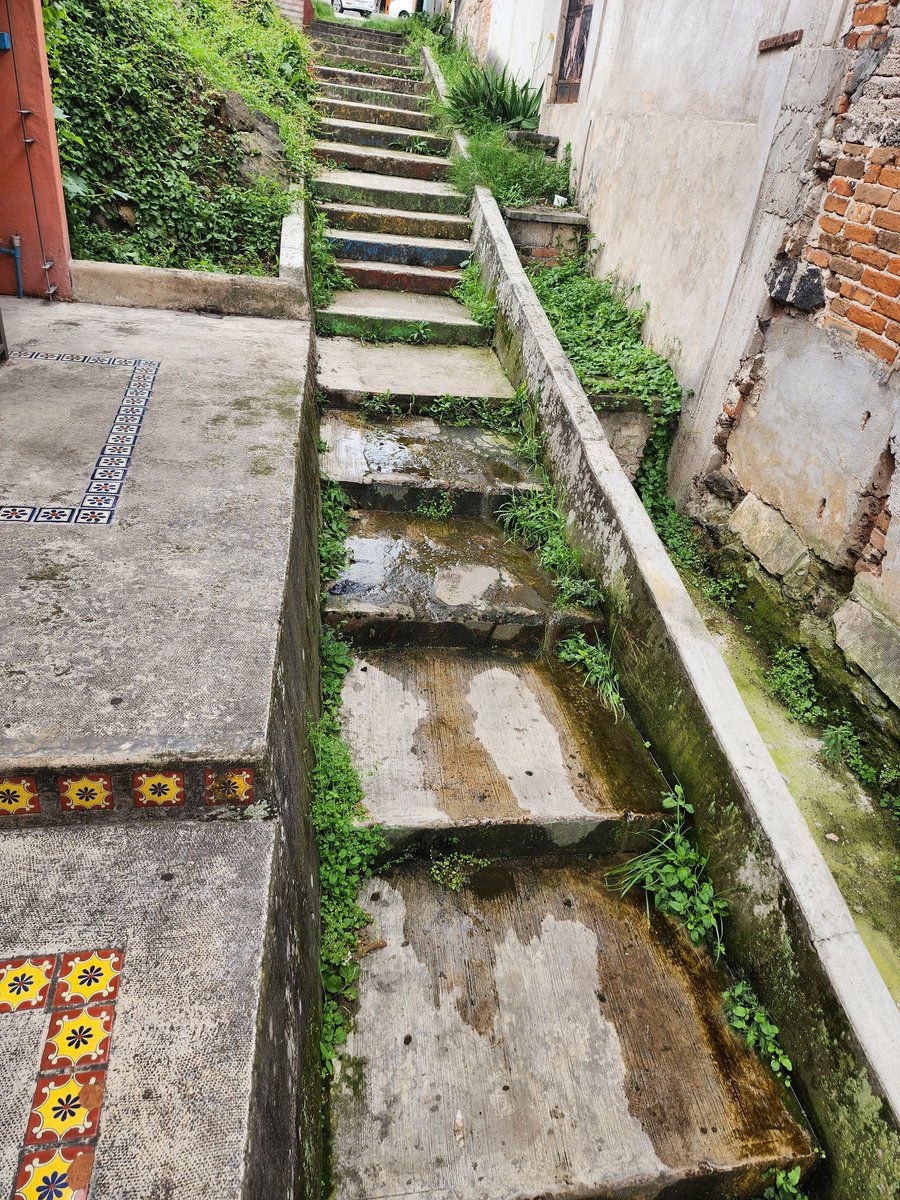 nathancxtx's tweet photo. @CMAS_Xalapa @AytoXalapa hoy 24 de abril continúa la fuga aguas negras sobre el andador Fascinación. NO ha sido atendido el reporte en más de un mes 😟 porfavor de su valioso apoyo una vez mas. https://t.co/s0rdYdy6ZM