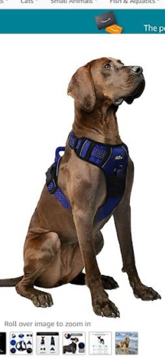 Carter1904's tweet photo. Large dog harness, spreads weight when dog is pulling. Closest I can find on AMAZON is £22, mine which is new and never been worn is just £15. Collection locally. Thanks. https://t.co/20vMjUUaar