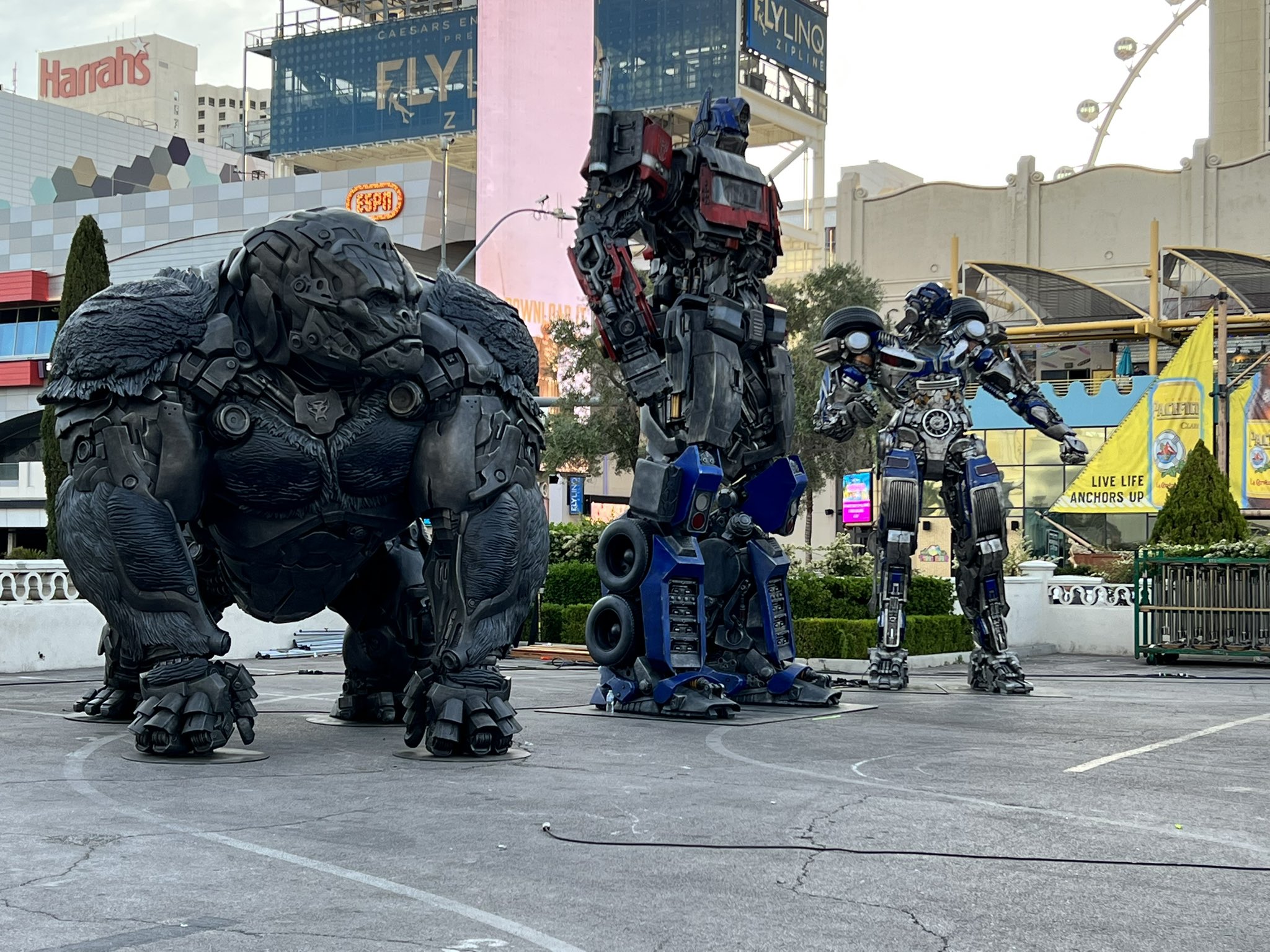optimus prime and bumblebee transformers