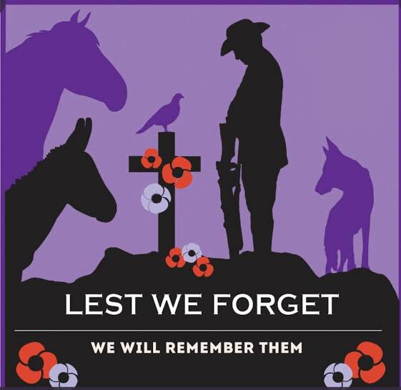 Lest We Forget - We will remember them - Let’s us remember the animals that served too ♥️
-
#anzacday #animals #dog #dogsofaustralia #anzacmemorial #memorial #soliders #australia #aussies #soldiers #wewillrememberthem