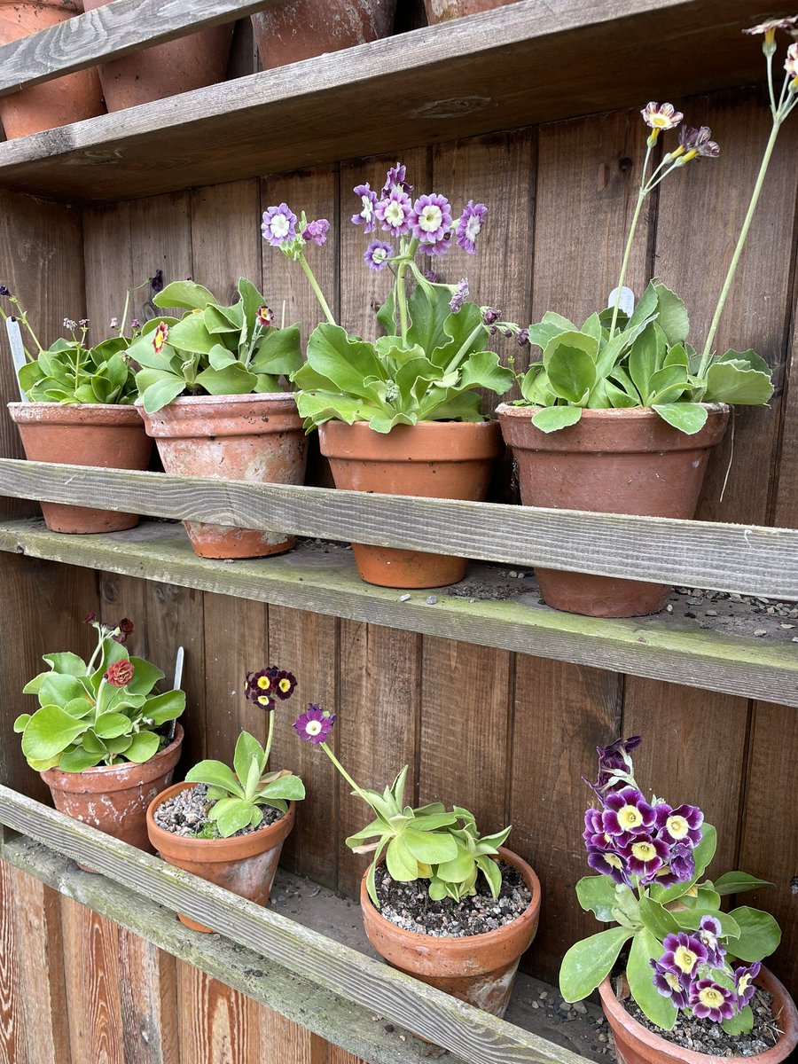Zazgl's tweet photo. Cold and grey with dashes of hail, sleet and rain! #springnotspring https://t.co/1n3VGaFcJT