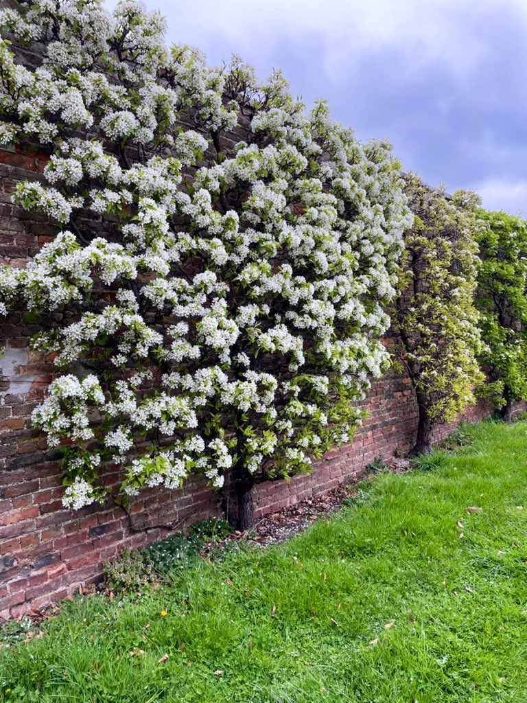 Zazgl's tweet photo. Cold and grey with dashes of hail, sleet and rain! #springnotspring https://t.co/1n3VGaFcJT