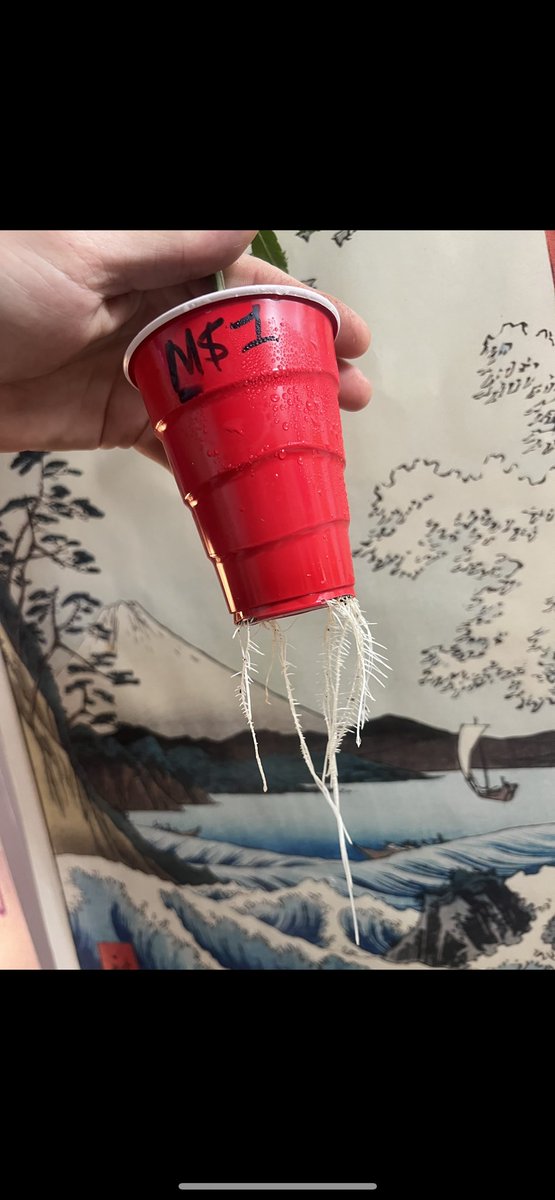 Health is wealth, accept nothing else.