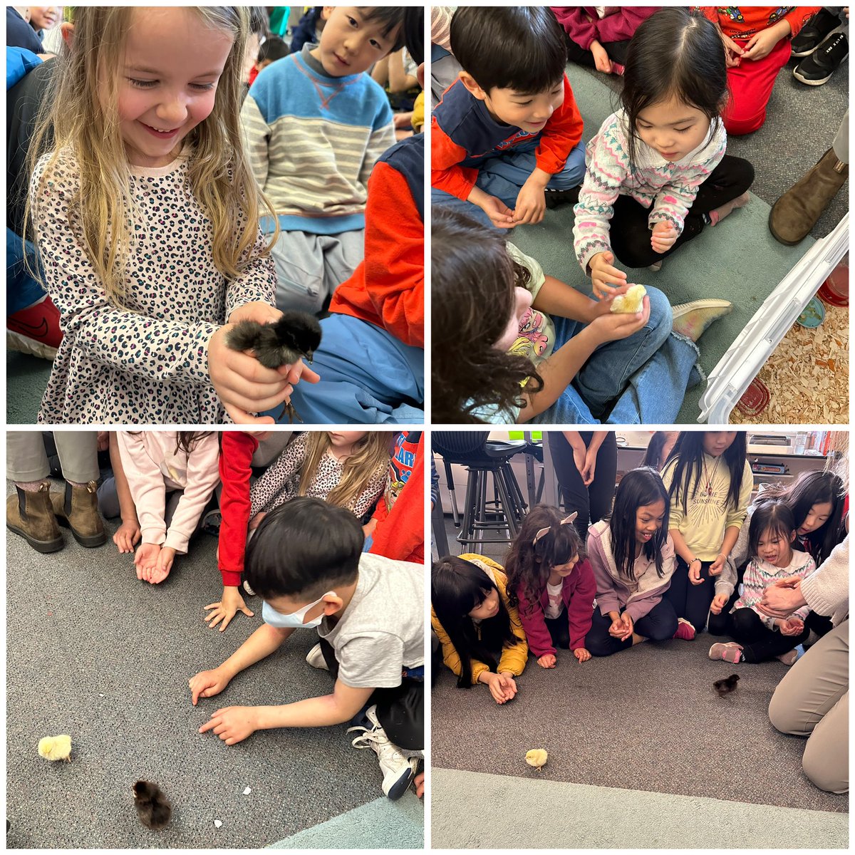 Hannah Oates tweet media