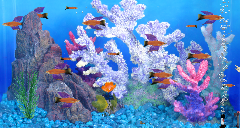 NoroSnail's tweet photo. Look at all this mone- I mean fishes. 😉
Each one sells at $42 #Fishtycoon https://t.co/IaTzUm5OJ8