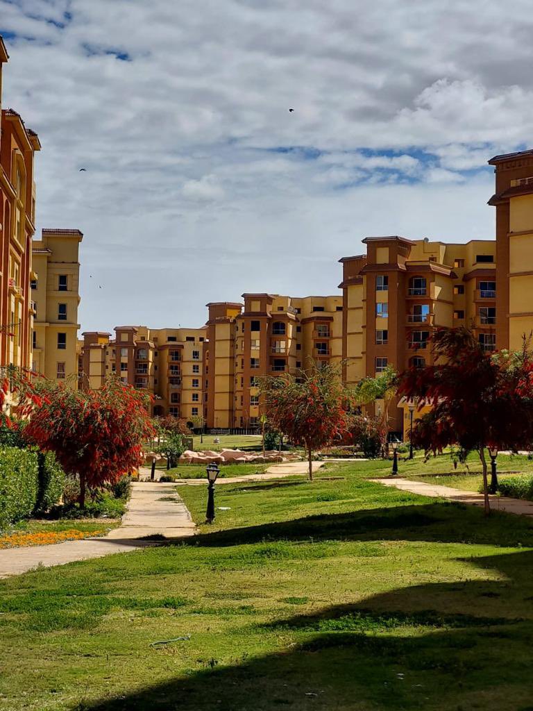 PalmsDegla's tweet photo. #دجلةبالمز #معمارالمرشدى #deglapalms #memaaralmorshedy https://t.co/kmd3rWfDiB