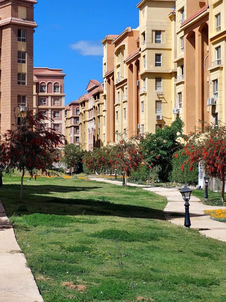 PalmsDegla's tweet photo. #دجلةبالمز #معمارالمرشدى #deglapalms #memaaralmorshedy https://t.co/GLoW5ZoUCw