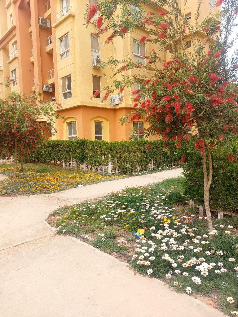 PalmsDegla's tweet photo. #دجلةبالمز #معمارالمرشدى #deglapalms #memaaralmorshedy https://t.co/WuTgc60VjL