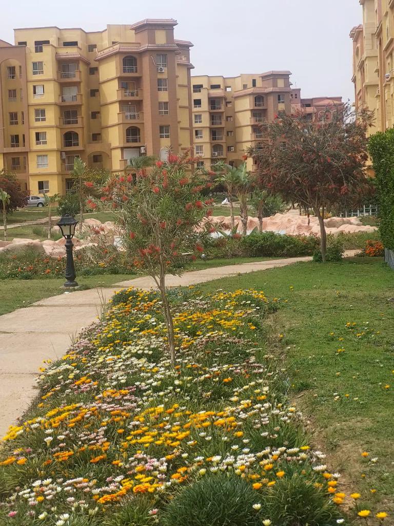 PalmsDegla's tweet photo. #دجلةبالمز #معمارالمرشدى #deglapalms #memaaralmorshedy https://t.co/VkzARsKA33