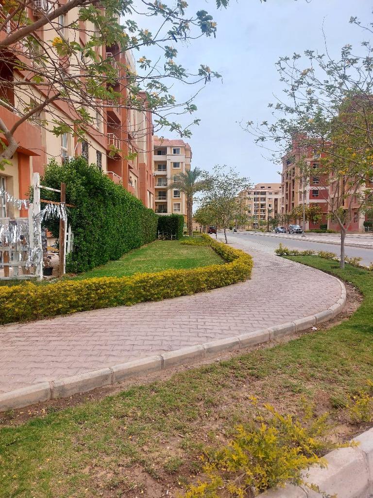 PalmsDegla's tweet photo. #دجلةبالمز #معمارالمرشدى #deglapalms #memaaralmorshedy https://t.co/jbRYUv2sVD