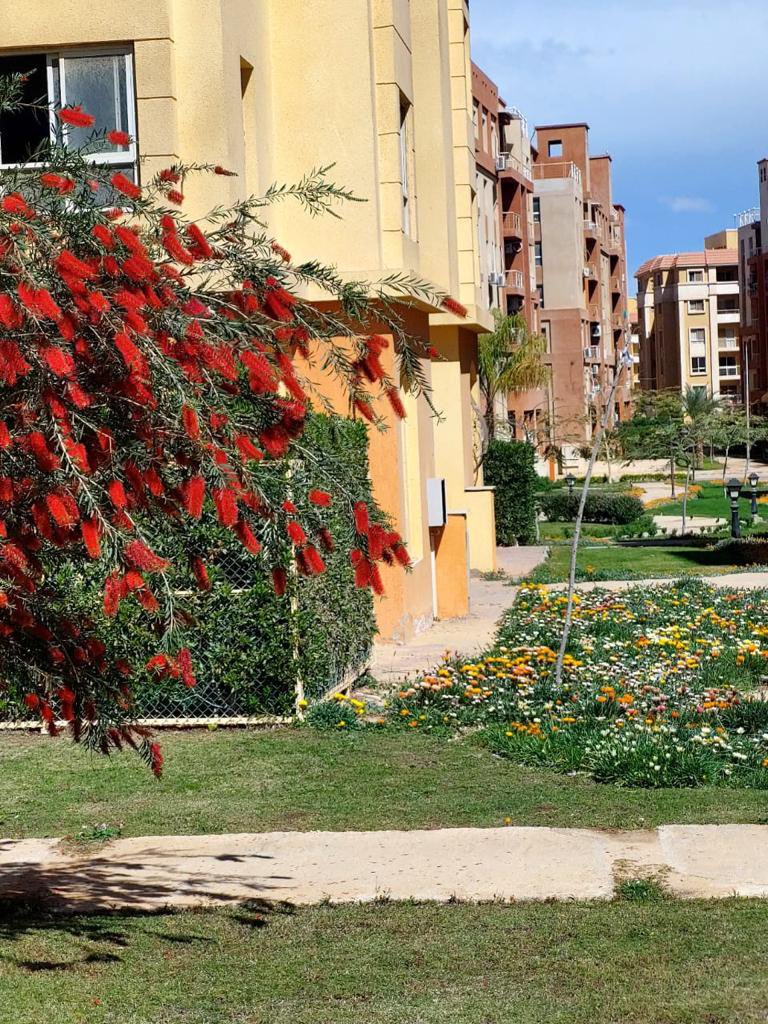 PalmsDegla's tweet photo. #دجلةبالمز #معمارالمرشدى #deglapalms #memaaralmorshedy https://t.co/yRo63vB3t2