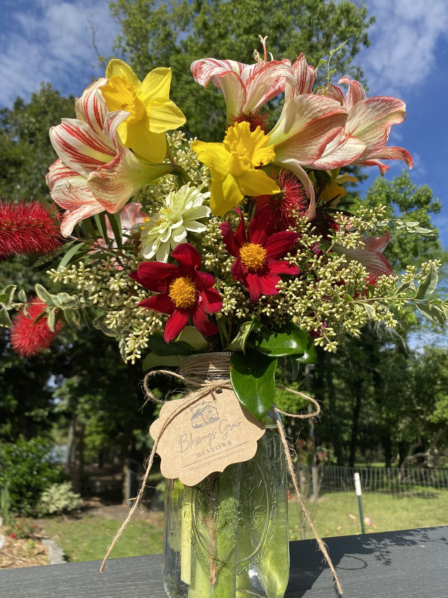 BlessingsGrow's tweet photo. Cut and arranged especially for a new customer requesting our farm-fresh flowers. Sealed with an Opie kiss. ☺️💐😘🐶 #blessingsgrow #growingwithpurpose #firstyearflowerfarmer #amaryllis #daffodils #hydroponicsdahlia #hydroponicszinnia #givingGodtheglory #opiethedeafbully https://t.co/t49mxqENIK