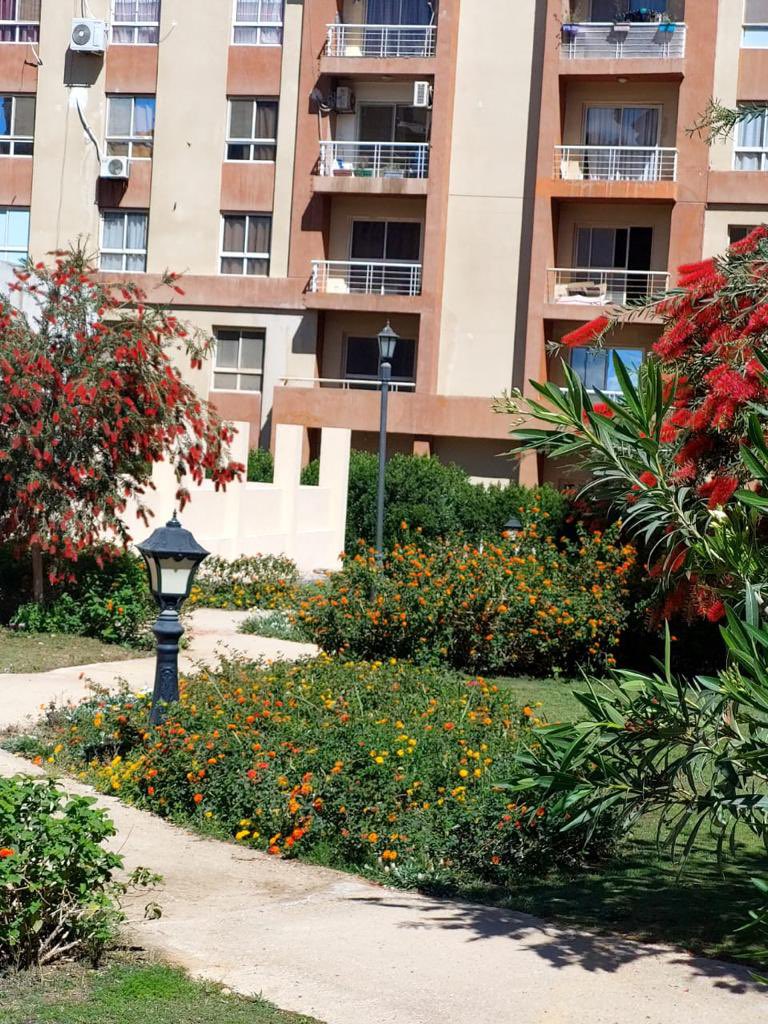 PalmsDegla's tweet photo. #دجلةبالمز #معمارالمرشدى #deglapalms #memaaralmorshedy https://t.co/iKJjYmzI0S