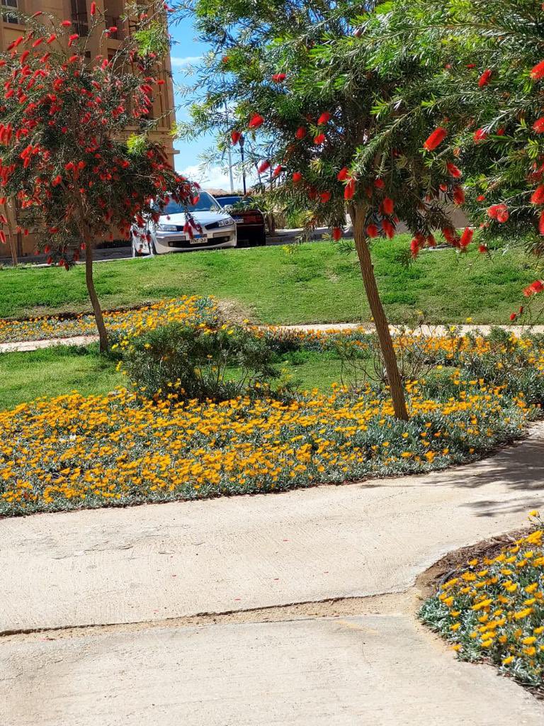 PalmsDegla's tweet photo. #دجلةبالمز #معمارالمرشدى #deglapalms #memaaralmorshedy https://t.co/yfVi1VhqhS