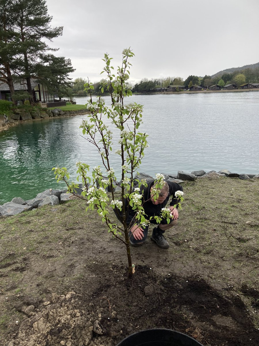 MatthewBaker tweet media