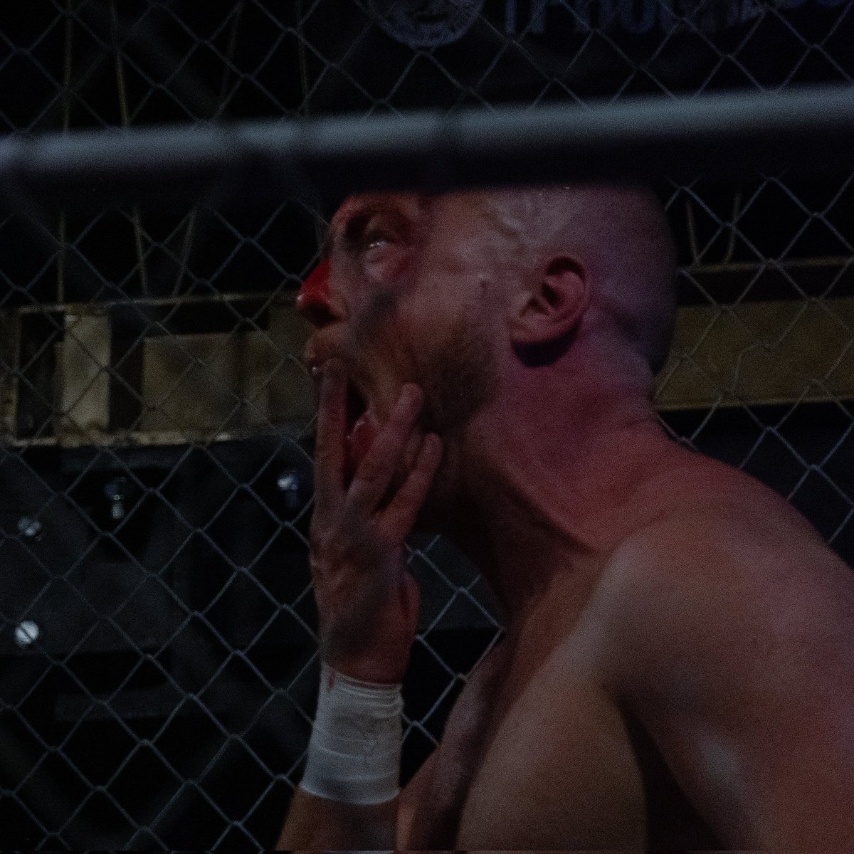 george_bass_uk's tweet image. #Chapter151 @ThisIs_Progress 

My first time seeing a steel cage in person. It was more visceral and gruesome than I could ever imagine. @CaraNoirPW and #SpikeTrivet left absolutely everything in the ring.