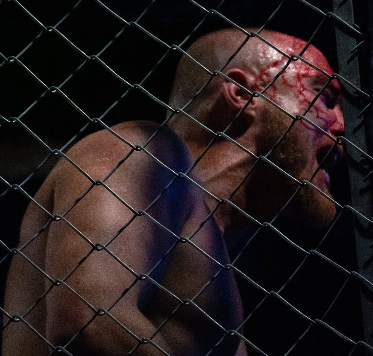 george_bass_uk's tweet image. #Chapter151 @ThisIs_Progress 

My first time seeing a steel cage in person. It was more visceral and gruesome than I could ever imagine. @CaraNoirPW and #SpikeTrivet left absolutely everything in the ring.