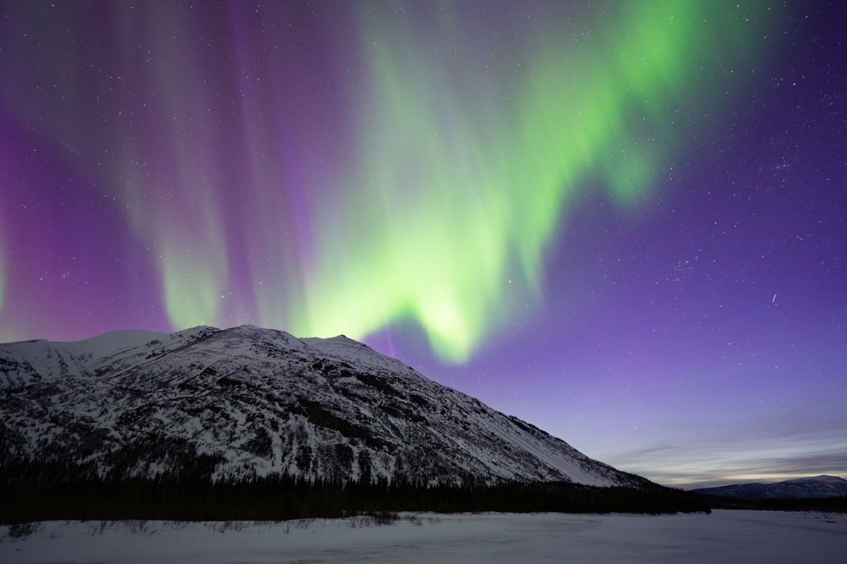 Vincent Ledvina tweet media