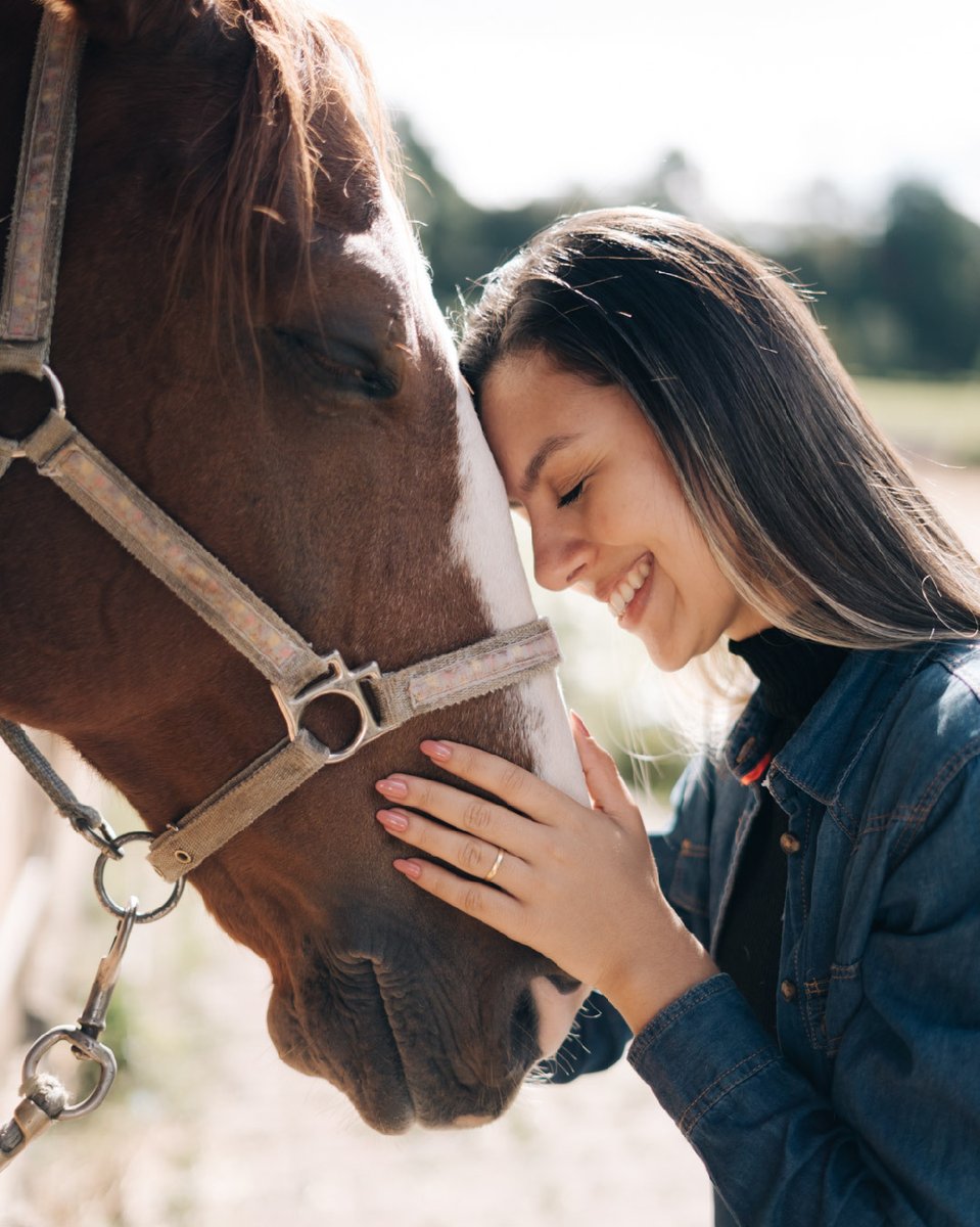 tarundu's tweet photo. Montar cavalos traz inúmeros benefícios para a saúde, melhora da postura, equilíbrio e coordenação motora. A relação entre humanos e cavalos é baseada em confiança e cumplicidade, trazendo mais felicidade e bem-estar. Sinta essa conexão no Tarundu! 🌟🐎 #Tarundu #Cavalos #Conexã https://t.co/nMGVlbuBD6