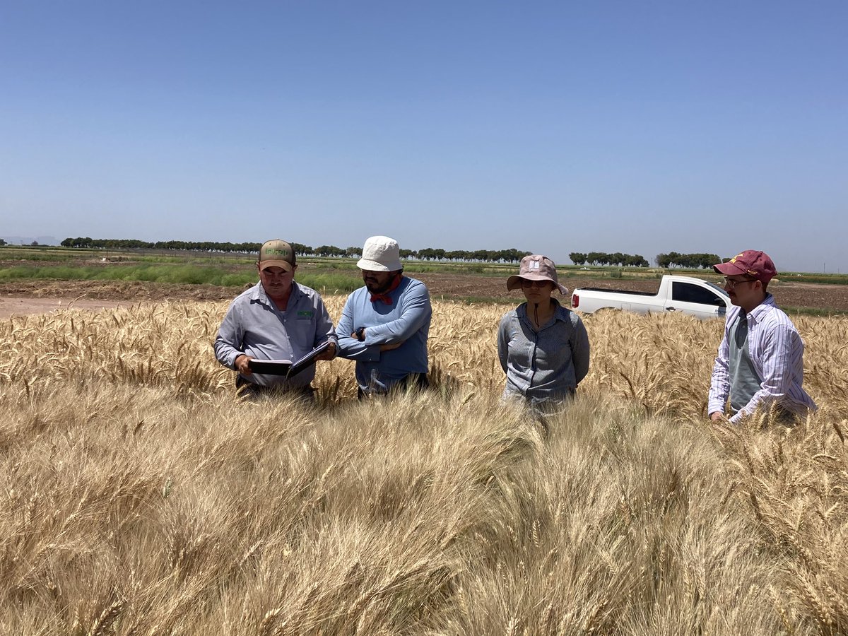 Francisco Piñera tweet media