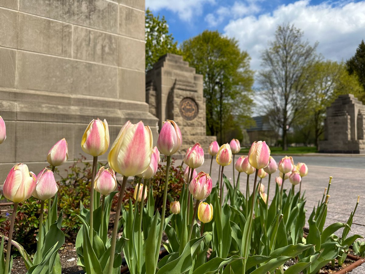 Spring is finally blooming on campus 🌷