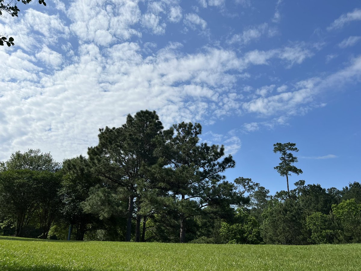 alisonyarpmd's tweet image. Needed a reset, so I did something I haven’t done in years. I laid in the grass. Always amazing how something so simple can be so satisfying.