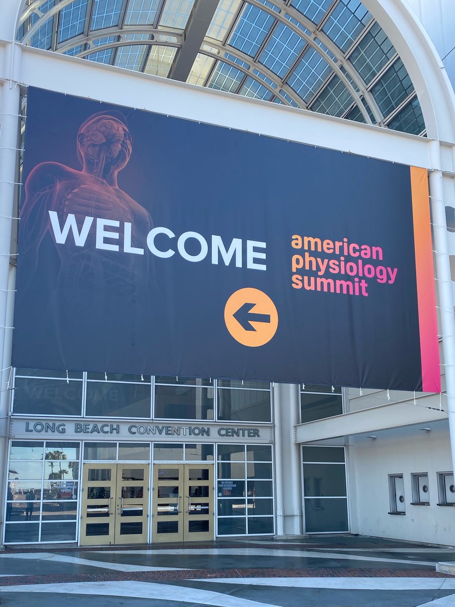 LSUHSC NOLA Graduate Studies tweet media