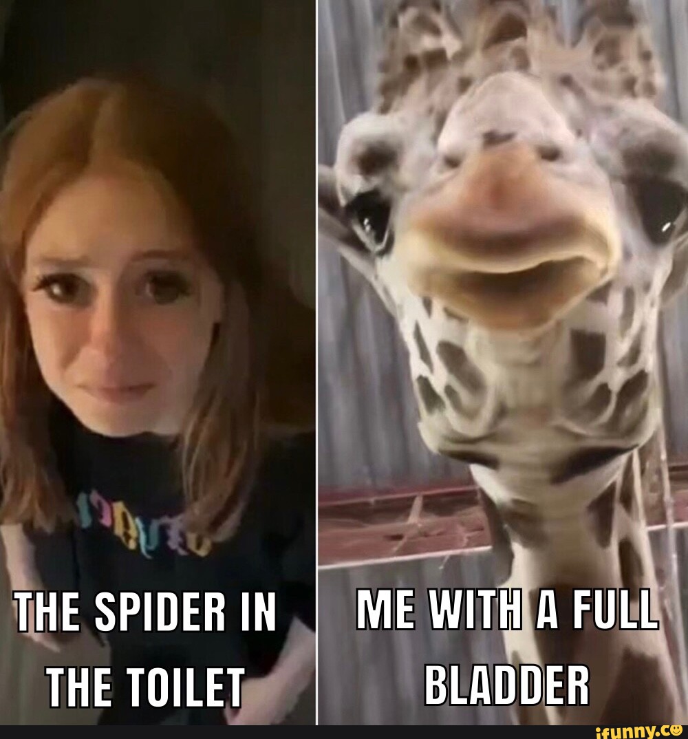 FilmsSlender's tweet photo. @clownworld Yeah right, like the rest of you have political memes as your last saved meme. Whenever I see this account ask y'all to share your last saved meme I already know what I'll see lol. Bunch of liars https://t.co/16LpVUgXeq