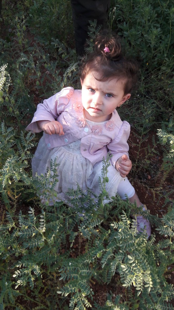 ahmadhusseinannan (@ahmadannan) on Twitter photo 