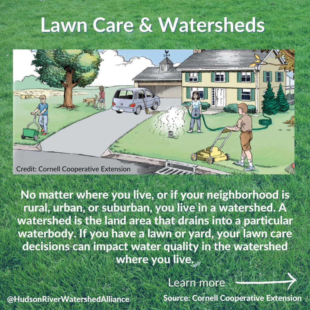 HudsonWatershed's tweet photo. Though you may not live on a stream, creek, or river, you’re always in a watershed. If you have a lawn, your lawn care and garden practices can help or harm local waters. Thanks to @ccecornell , @NYSDEC , &amp; Canandaigua Lake Watershed Association for the info! https://t.co/lpFuBu5A2N
