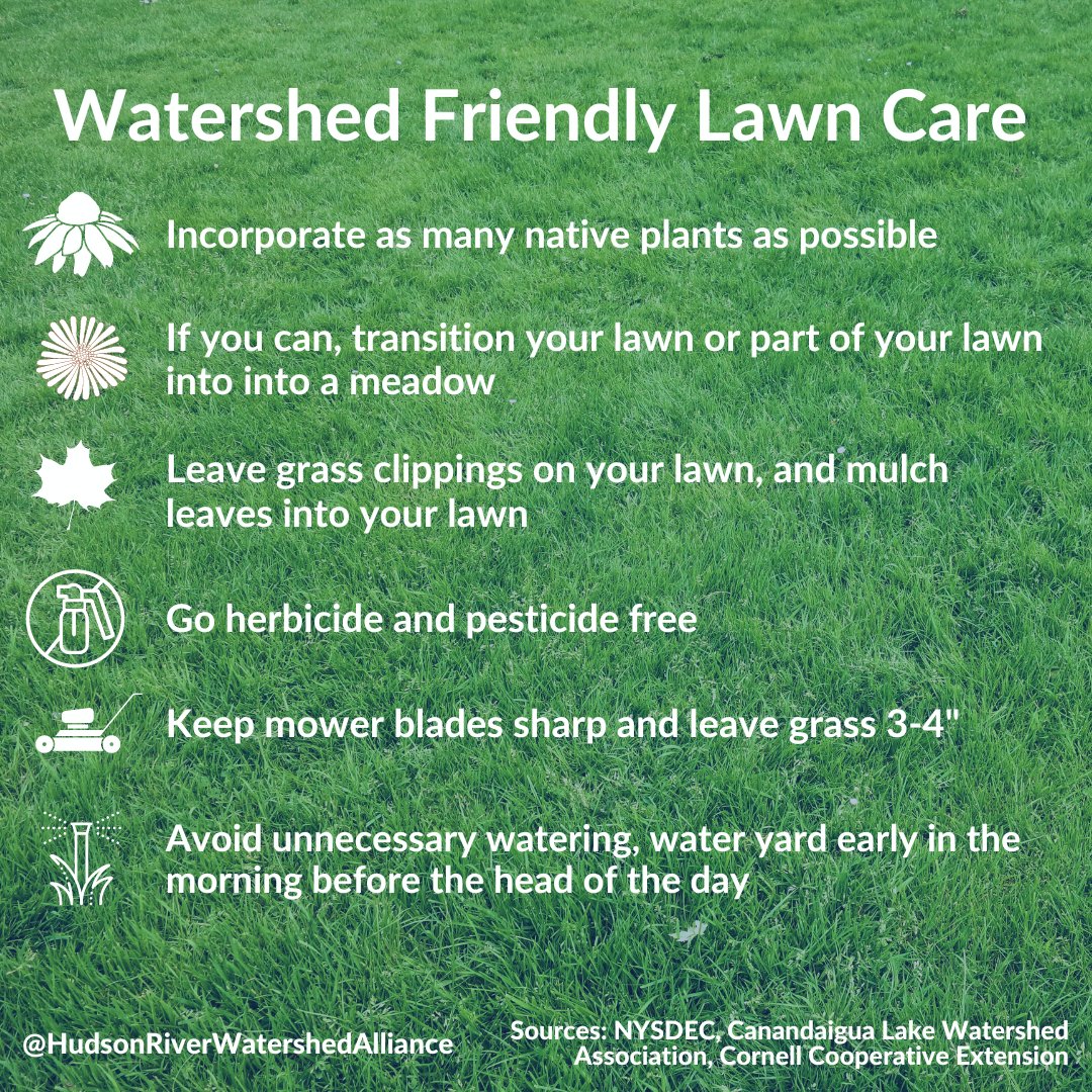 Hudson River Watershed Alliance (@hudsonwatershed) on Twitter photo Though you may not live on a stream, creek, or river, you’re always in a watershed. If you have a lawn, your lawn care and garden practices can help or harm local waters. Thanks to <a href="/ccecornell/">Cornell Cooperative Extension</a> , <a href="/NYSDEC/">New York State Dept. of Environmental Conservation</a> , & Canandaigua Lake Watershed Association for the info! Though you may not live on a stream, creek, or river, you’re always in a watershed. If you have a lawn, your lawn care and garden practices can help or harm local waters. Thanks to <a href="/ccecornell/">Cornell Cooperative Extension</a> , <a href="/NYSDEC/">New York State Dept. of Environmental Conservation</a> , & Canandaigua Lake Watershed Association for the info!