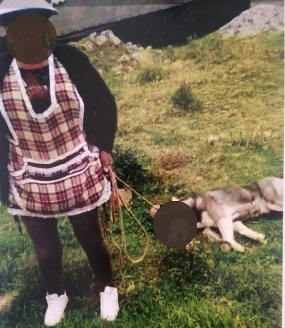 Solicitan pena máxima para mujer que colgó de árbol a un perro, en el sur de #Quito ►  ow.ly/soeb50NQWV2