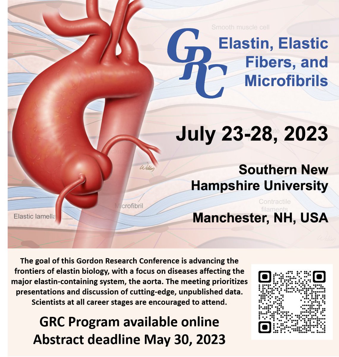 JohnRitterFoundation (@johnritterfdn) on Twitter photo Looking forward to the Gordon Research Conference on July 23-28, led by <a href="/DiannaMilewicz/">Dianna Milewicz</a>. This conference is focused on advancing the frontiers of elastin biology, with a focus on disease of a major elastin containing organ, the aorta. <a href="/OuzounianMD/">Maral Ouzounian</a> @ShereneShalhub <a href="/scottlemaire/">Scott LeMaire</a> Looking forward to the Gordon Research Conference on July 23-28, led by <a href="/DiannaMilewicz/">Dianna Milewicz</a>. This conference is focused on advancing the frontiers of elastin biology, with a focus on disease of a major elastin containing organ, the aorta. <a href="/OuzounianMD/">Maral Ouzounian</a> @ShereneShalhub <a href="/scottlemaire/">Scott LeMaire</a>