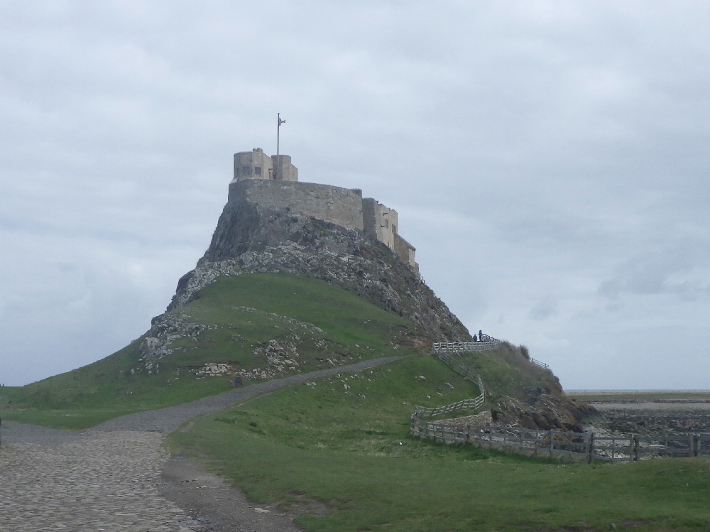 KnipeMike's tweet image. Pilgrims route to Lindisfarne (actually, from cos the water was too deep at first) LTD mainly walked to heel across the vast sands. Daft dog. He did do a few zoomies at first then he just couldn't be arsed....