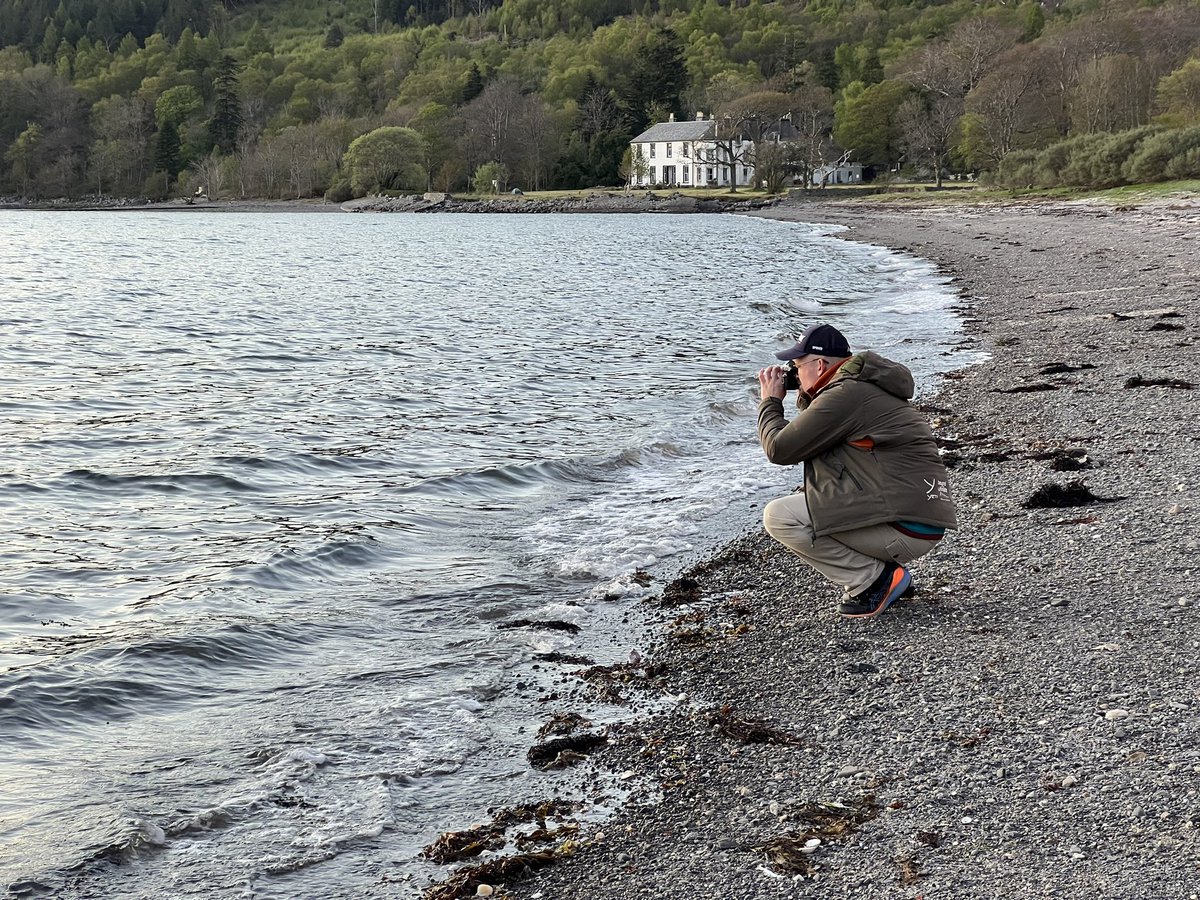 Dean Read tweet media