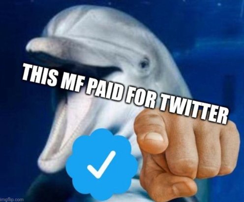 Curtis17689617's tweet image. 