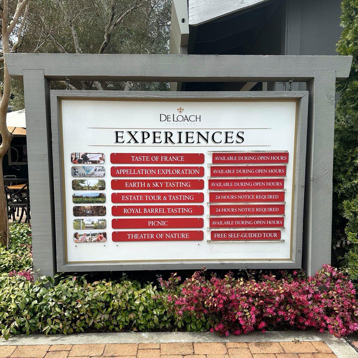 Discover our amazing tasting experiences at DeLoach Vineyards, and let your wine adventure begin! Book now! 

Book Today loom.ly/JtD-HiM #sonomacounty #winetasting