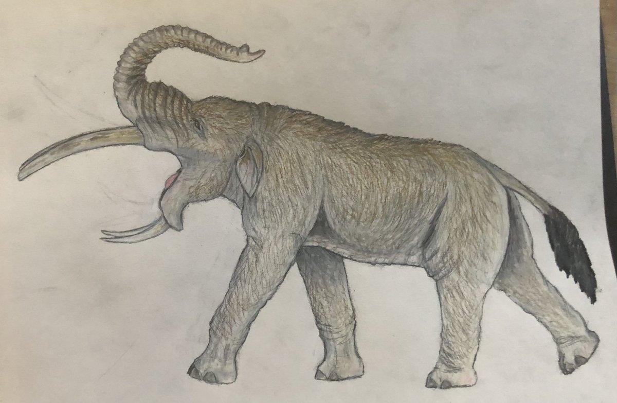 Keenan Taylor's Tales of Kaimere | He/Him on Twitter: