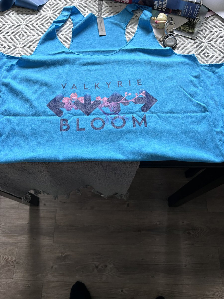 Got new merch in today from <a href="/ValkyrieDDR/">Valkyrie Dimension</a> I love it so much