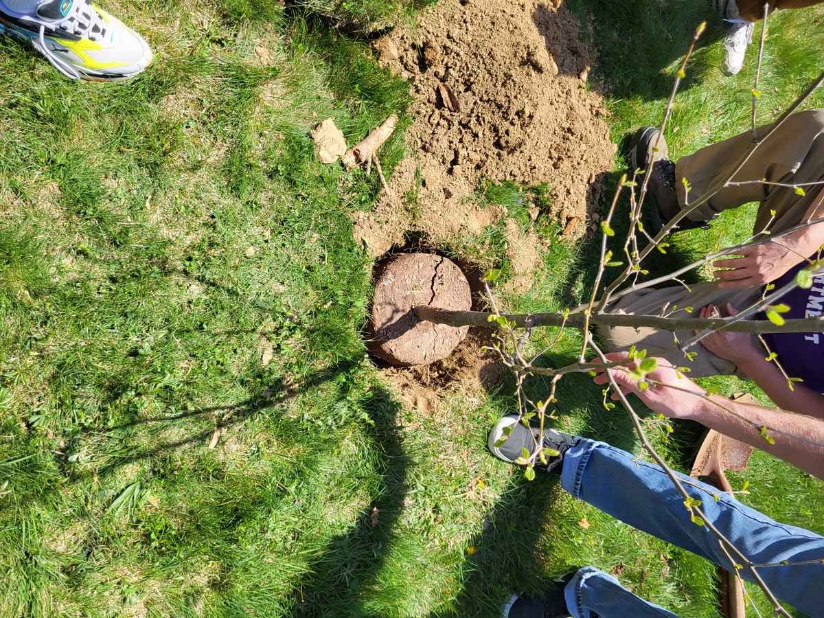 Dr. Gregory Hobaugh tweet media