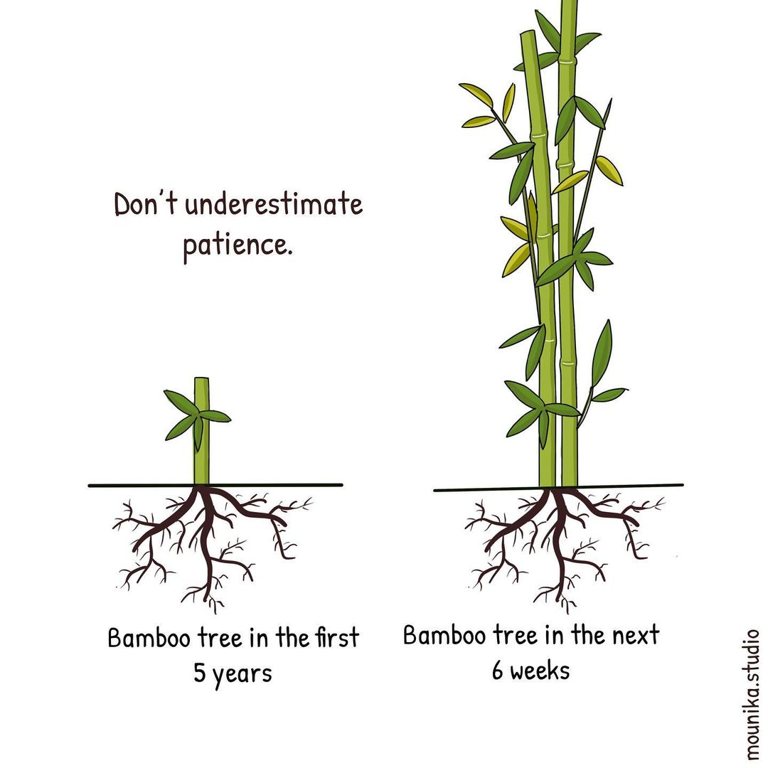888Velvet's tweet image. #bitcoin is similar to bamboo.
