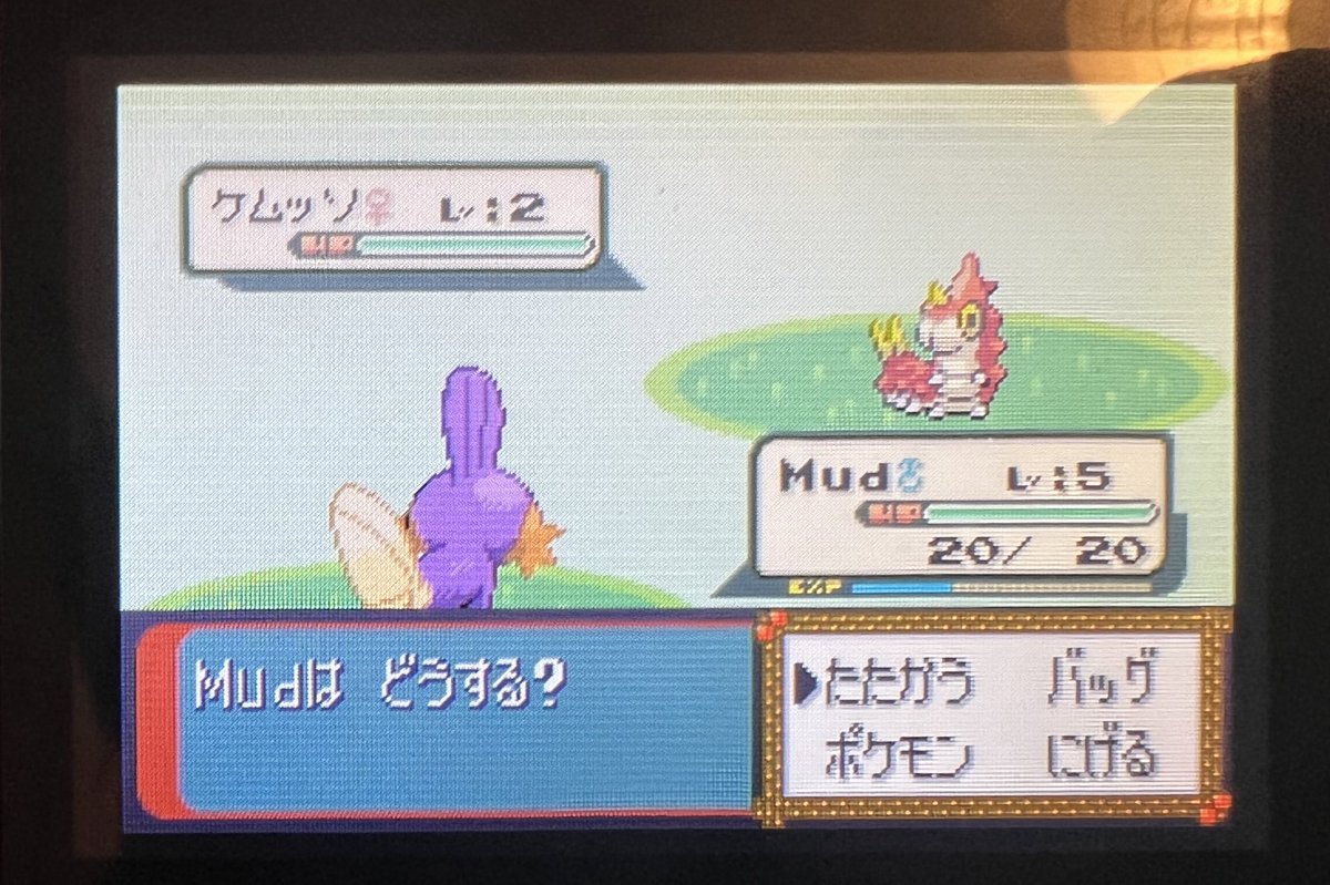 Sythaxx's tweet photo. @TheBuriedRelic It would have to be this shiny Mudkip I got last year, was hunting it on and off for a few years, went well over 29k and got a Tattoo to give me luck and was well worth the wait! https://t.co/KcHhl4AV4b