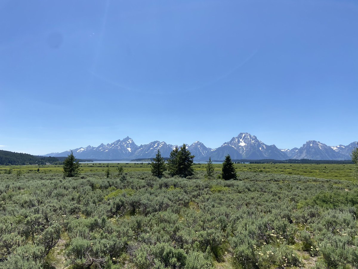TannerWebb617's tweet photo. @natparksnft @GrandTetonNPS https://t.co/DcxiGyENMf