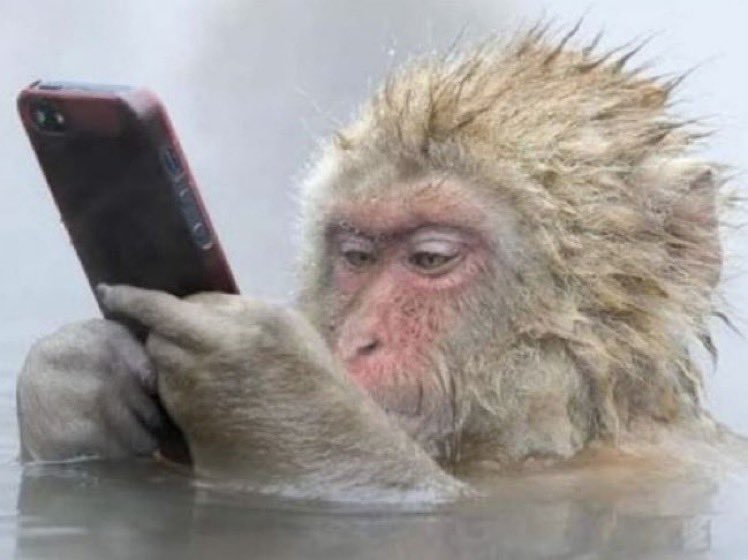 cuando te das cuenta que solo respondiste telepáticamente y nunca enviaste el mensaje