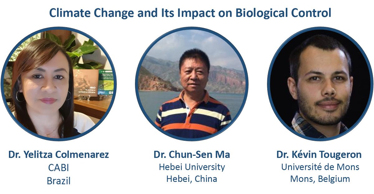 JSaguez's tweet photo. From April 24-26, 2023 view the online program for the Virtual Symposium hosted by the International Branch of the @EntsocAmerica Plenary speakers, 10min presentations and posters !
Free and open to everyone
Sharing Insect Science Globally #ibranch23
https://t.co/qrrxsHF4TU https://t.co/82PDRRIqIo